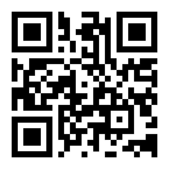 Contrôle à distance MandoCopy 8000 1