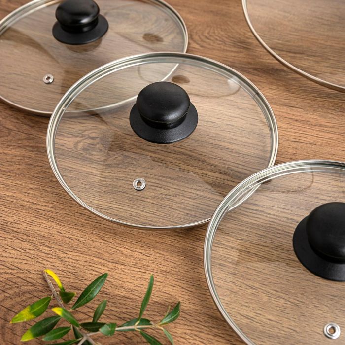 Tapa Vidrio Renova Quid 22 cm 3