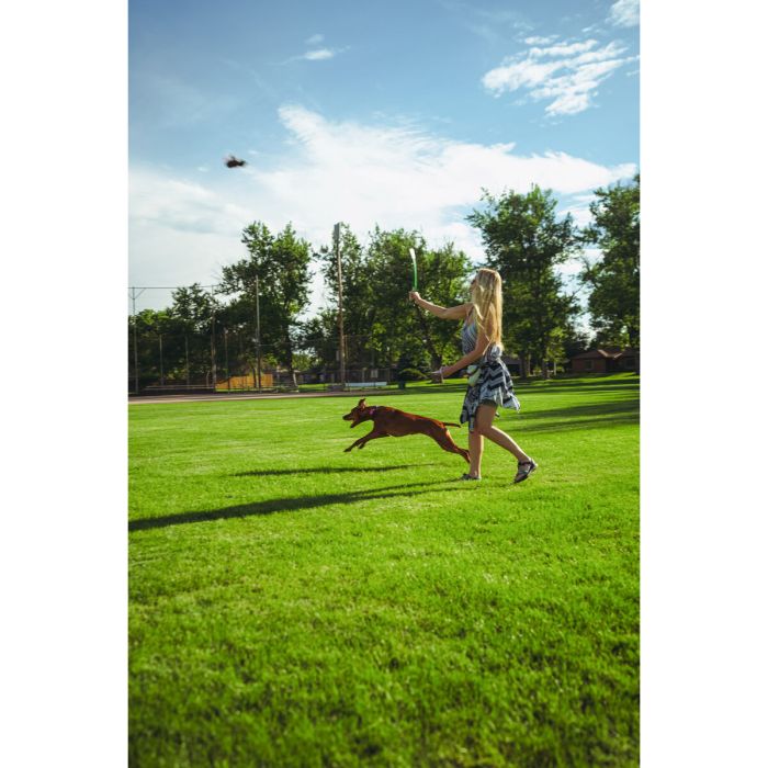 Jouet pour chien Hunter 1 Jouet pour chien Hunter 1