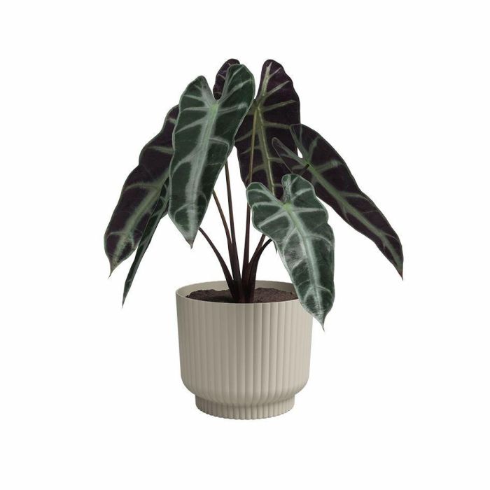 Pot de fleur - ARTEVASI - Miami Wavy - 30 cm - 13 L - Creme 1