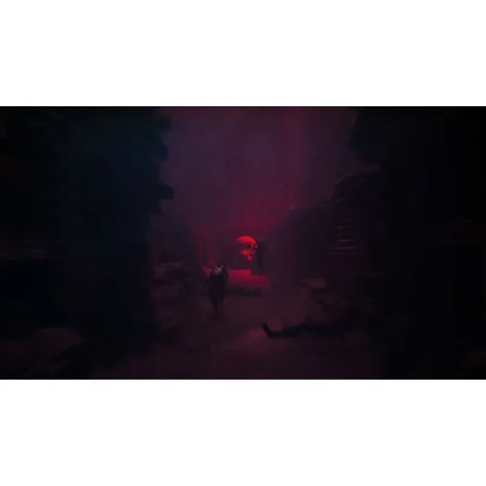 Just For Games Reanimal - Jeu d'aventure et d'horreur coopératif pour Xbox Series X | Expérience immersive avec énigmes et survie