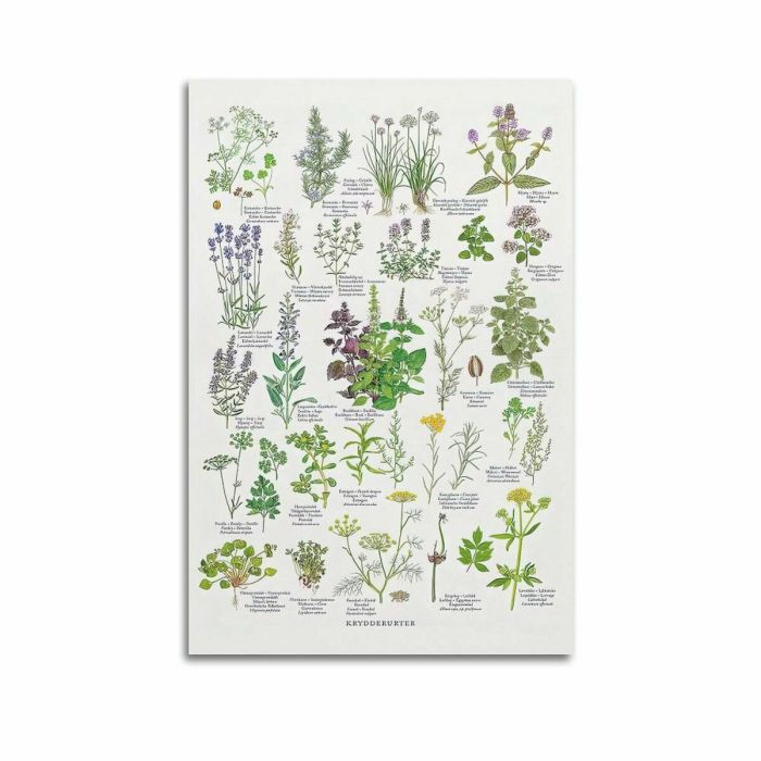 Smartphone Samsung SM-A566BZACEUE 6,7" 1 GB RAM 8 GB RAM 256 GB Gris 7