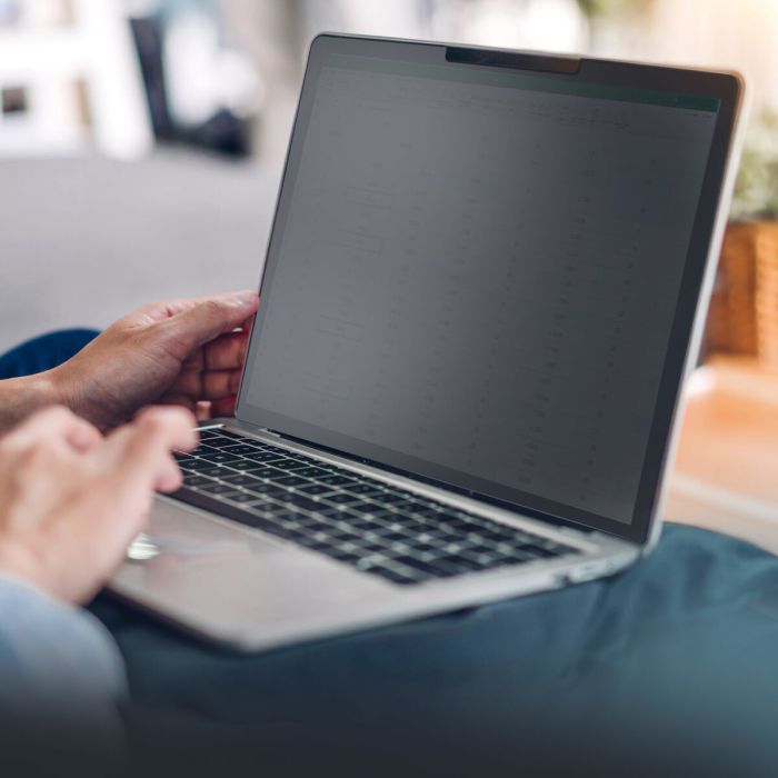 Filtre de Confidentialité pour Moniteur Startech 135S-PRIVACY-SCREEN 2