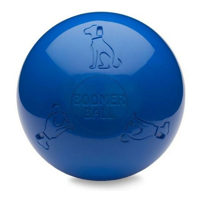 Jouet pour chien Company of Animals Boomer Bleu (200mm) 0 Jouet pour chien Company of Animals Boomer Bleu (200mm) 0
