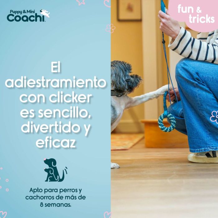 Harnais pour Chien Coachi 2