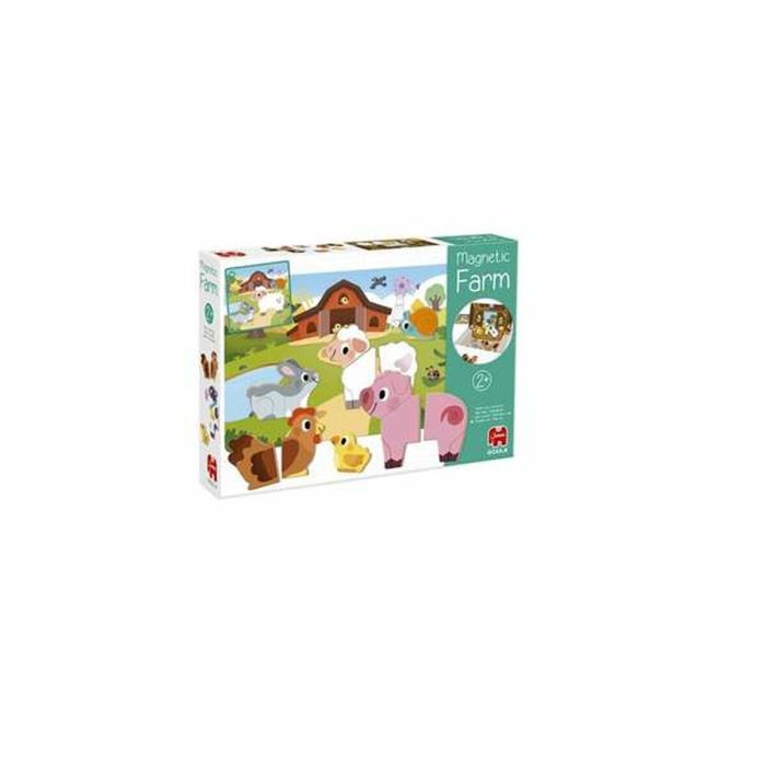 Jeu Magnétique Goula Carton 1