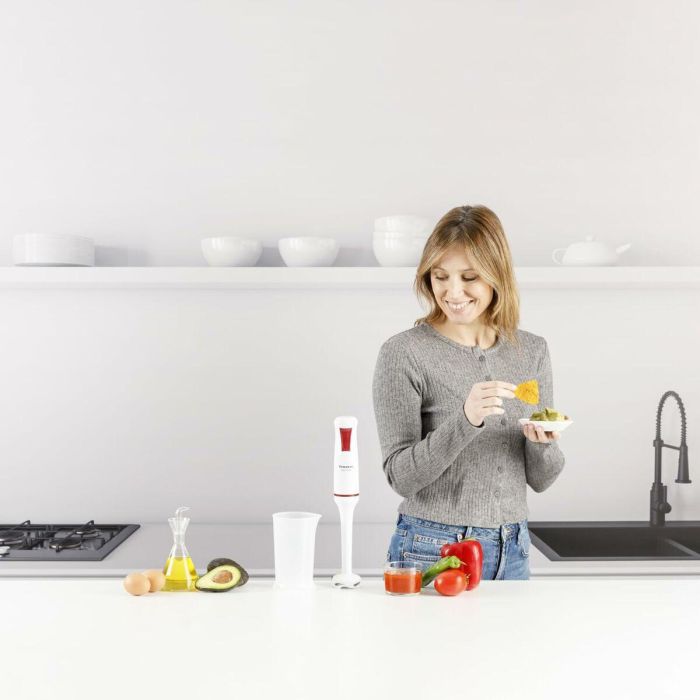 Mixeur plongeant Taurus ROBOT750 2