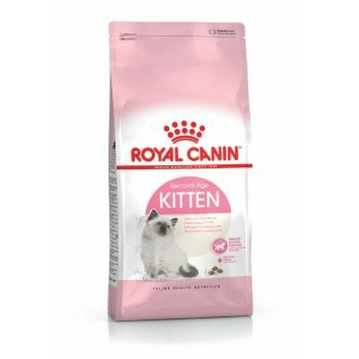 Aliments pour chat Royal Canin Kitten Poulet Oiseaux 4 Kg