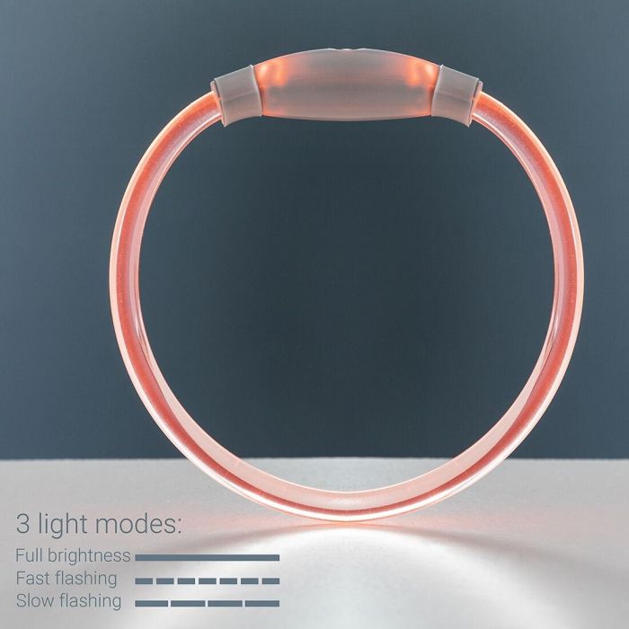 Collier à LED pour Animaux Petlux InnovaGoods