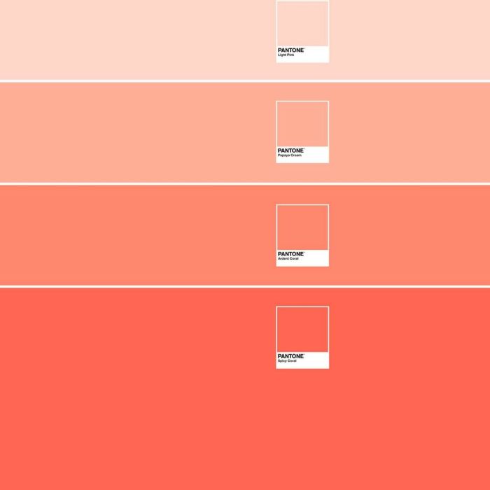 Housse de Couette Ombre B Pantone 2