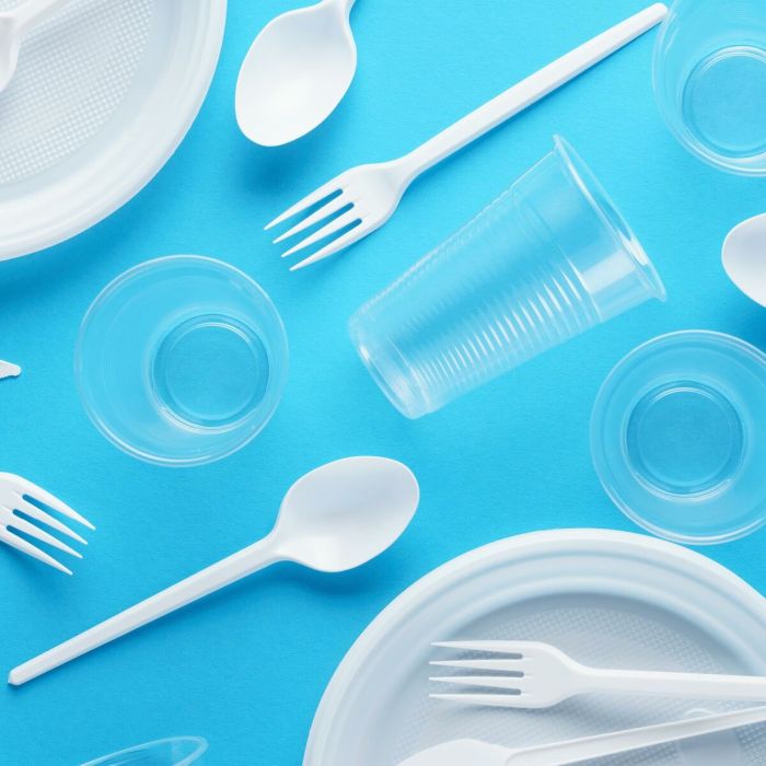 Lot d'assiettes réutilisables Maxi Products Blanc Plastique 100 Pièces 3