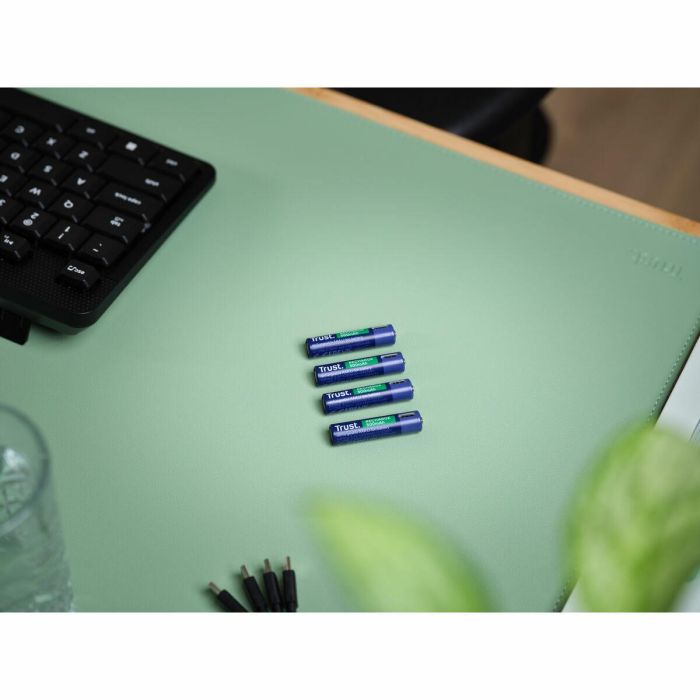 Batteries Trust 25671 AAA 2