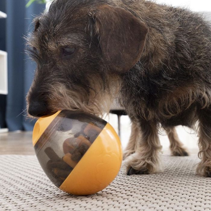 Jouet Distributeur de Friandises pour Animaux2 en 1 Petyt InnovaGoods