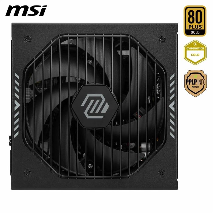 Bloc d’Alimentation MSI 306-7ZP1B21-CE0 1000 W 80 Plus Gold ATX 5