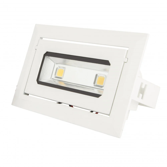 Downlight LED 20W 1685Lm 2700K Rectangulaire Basculant 40.000H [HO-DRECTBAS-20W-WW] 0