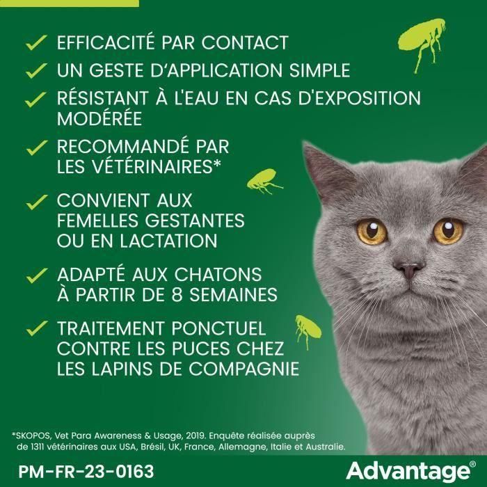 Advantage Solution Antipuce Chat Lapin 1 a 4kg 6 pipettes 4 Advantage Solution Antipuce Chat Lapin 1 a 4kg 6 pipettes 4