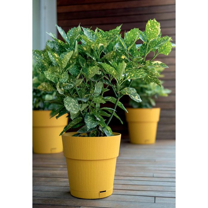 Stefanplast Pot de fleur Ethica 2 L 40 x 39 cm avec réserve d'eau couleur moutarde Stefanplast Pot de fleur Ethica 2 L 40 x 39 cm avec réserve d'eau couleur moutarde