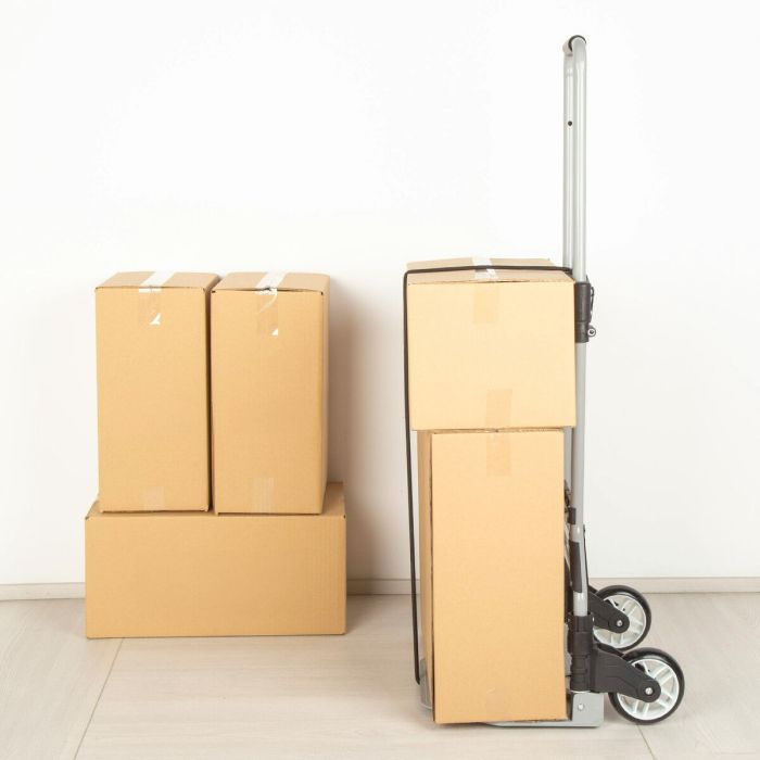 Chariot Multi-usages Aktive 40 x 100 x 40 cm (2 Unités) 5