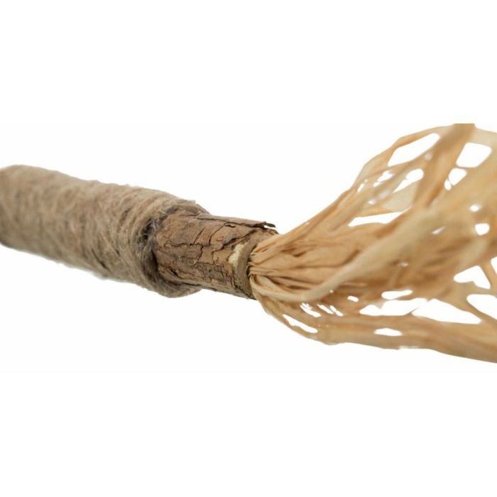 Collier de dressage Trixie Cavo Graphite Azul Océano S/M 35-41 cm 1