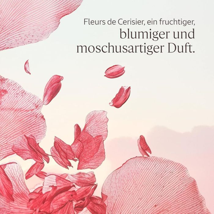 Crème réductrice L'Occitane En Provence FLEURS DE CERISIER 1 Crème réductrice L'Occitane En Provence FLEURS DE CERISIER 1