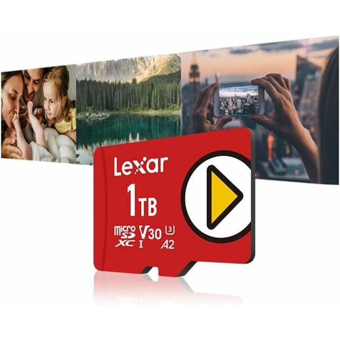 Carte Micro SD Lexar LMSPLAY001T-BNNNG 1 TB 1