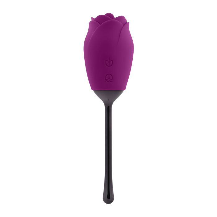 Stimulateur clitoridien Playboy Playboy Violet 0 Stimulateur clitoridien Playboy Playboy Violet 0