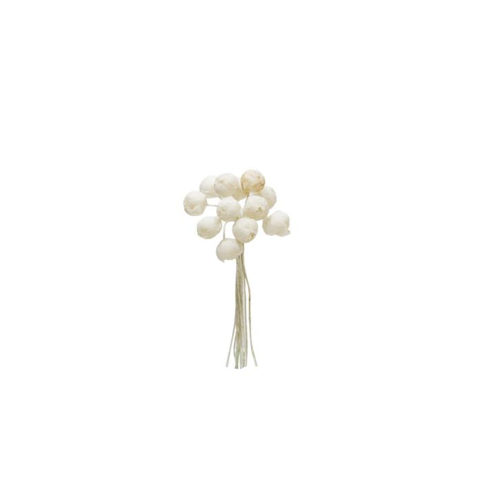 Bolsa 12 Mini Flores Pomos Capullo x Marfil Bolsa 12 Mini Flores Pomos Capullo x Marfil