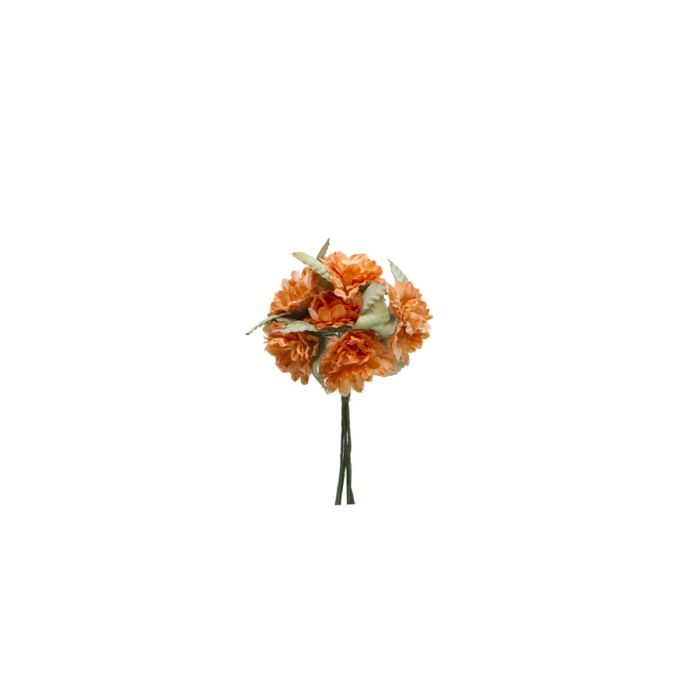 Bolsa 12 Mini Flores Pomos Zinnia Salmón Bolsa 12 Mini Flores Pomos Zinnia Salmón