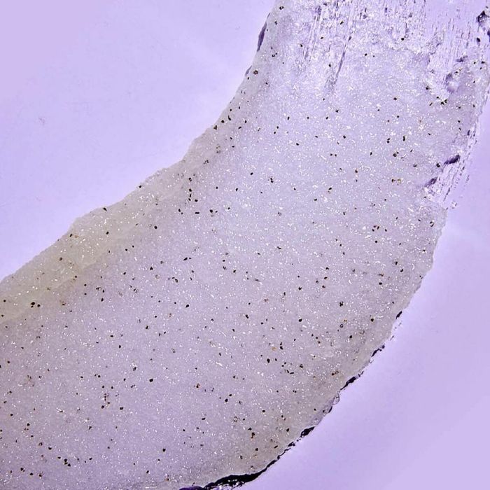 Gel Exfoliante Facial Tree Hut Exfoliante Vainilla 510 g 11 Gel Exfoliante Facial Tree Hut Exfoliante Vainilla 510 g 11