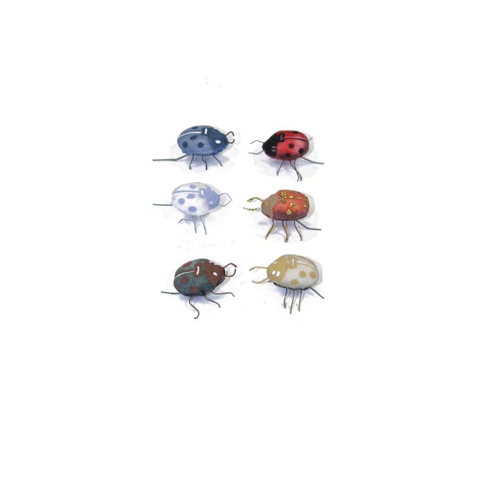 Caja de 12 Escarabajos