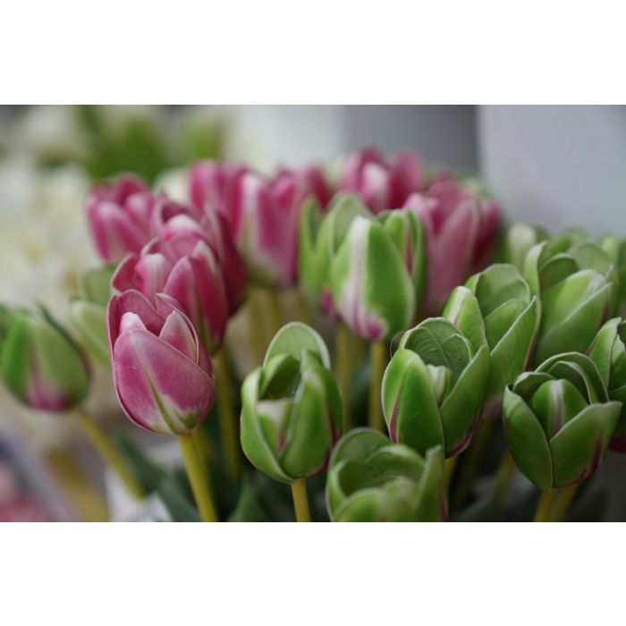Flor Artificial Tulipan Verde Foam 1