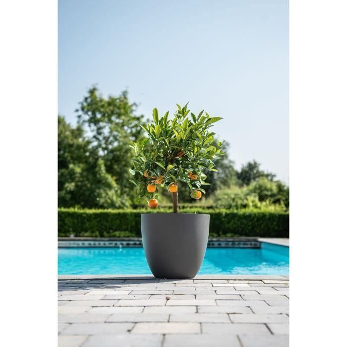 Maceta - GARDEN ID - Phoenix Antracita - 38 x 34 cm - 100% Reciclado y Reciclable - Resistente a las heladas y a los rayos UV - Para Exterior 1