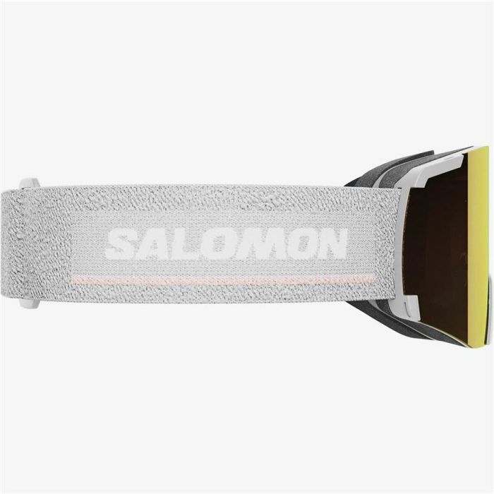 Gafas de Esquí Salomon S/View Gris 2