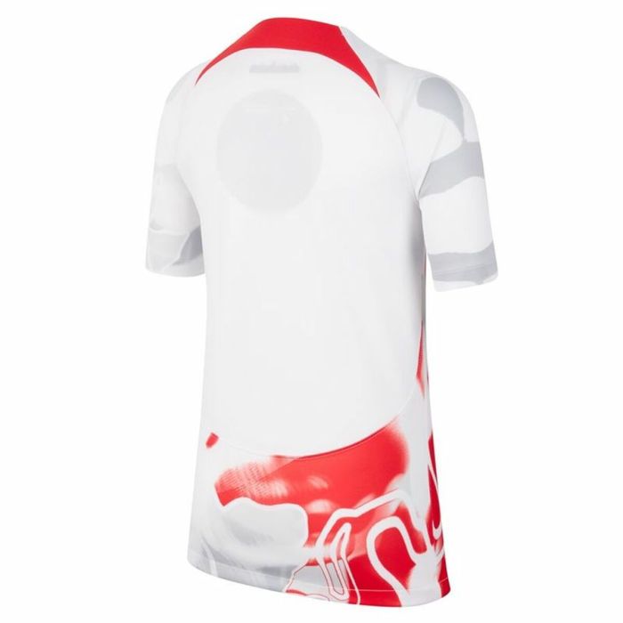 Camiseta de Fútbol de Manga Corta Hombre Stadium RB Nike 1 8
