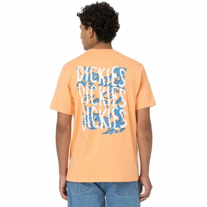 Camiseta de Manga Corta Dickies Creswell Naranja Hombre 2