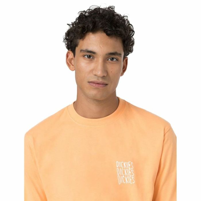 Camiseta de Manga Corta Dickies Creswell Naranja Hombre 1