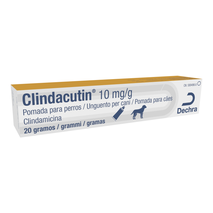 Clindacutin Ointment Paste 10 mg-G 20 gr