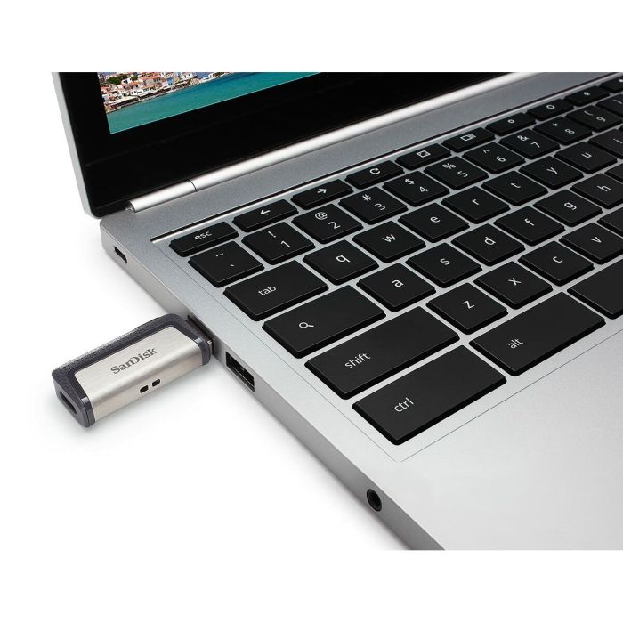 Memoria USB SanDisk Ultra Dual Drive Gris 256 GB 2