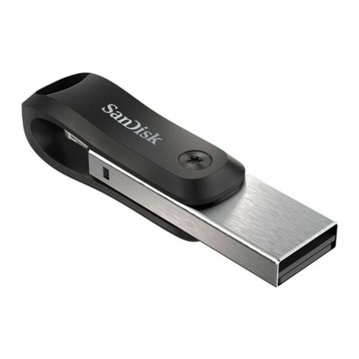 Memoria USB SanDisk SDIX60N-256G-GN6NE Gris 256 GB 4