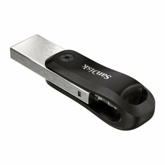 Memoria USB SanDisk SDIX60N-256G-GN6NE Gris 256 GB 3