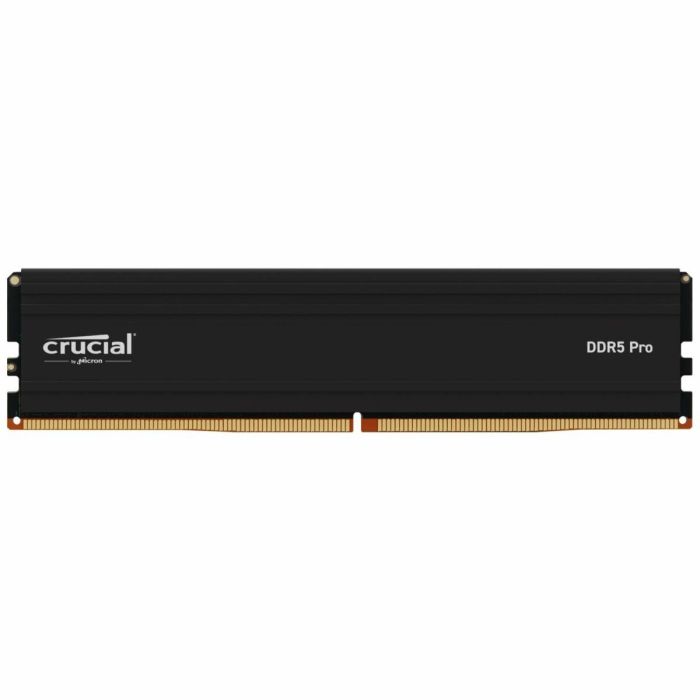 Memoria RAM Crucial CP24G60C48U5