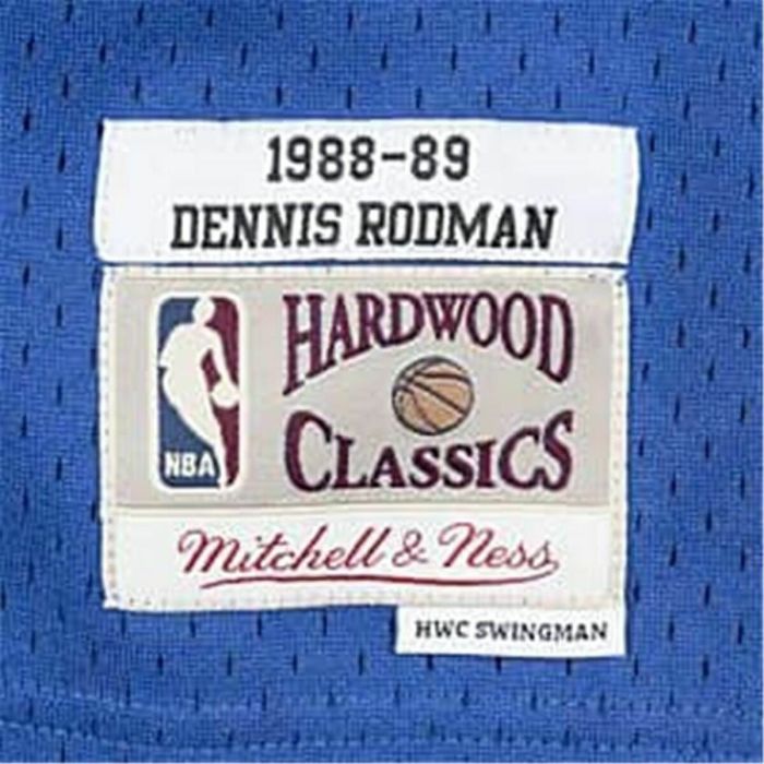 Camiseta de baloncesto Mitchell & Ness Detroit Pistons 1988-89 Nº10 Dennis Rodman Azul 1