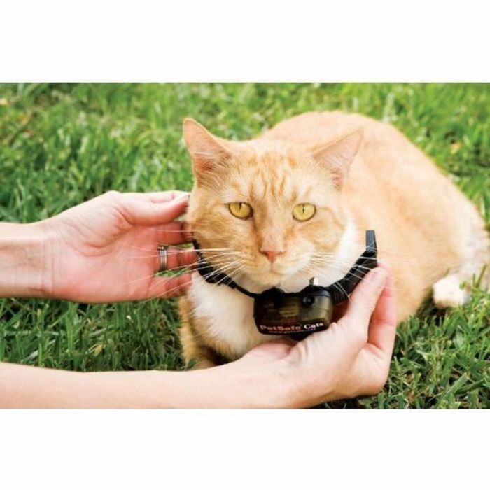 Collar para Gato PetSafe Prf-3004xw-20 1