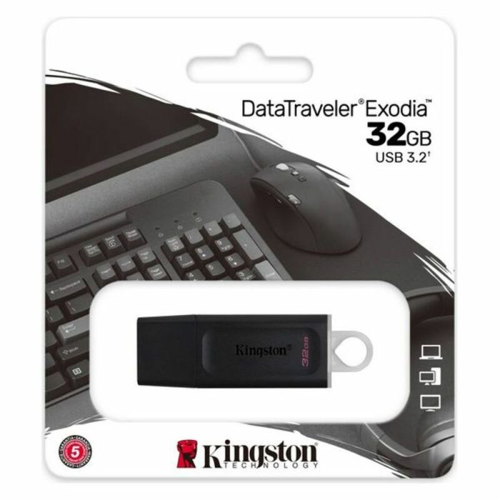 Memoria USB Kingston DataTraveler DTX Negro Memoria USB 10