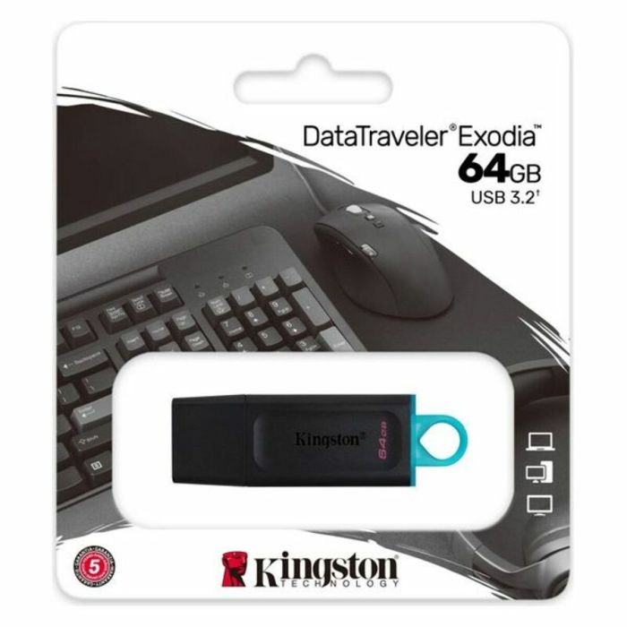 Memoria USB Kingston DataTraveler DTX Negro Memoria USB 7