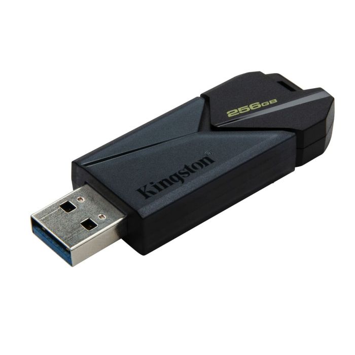 Memoria USB Kingston DTXON/256GB Negro 256 GB (1 unidad) 3