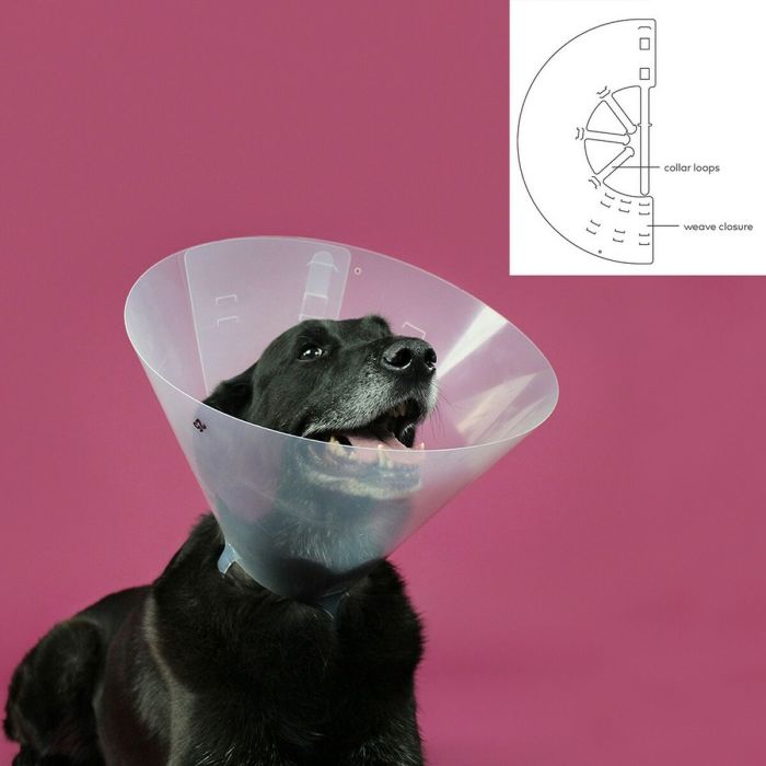 Collar Isabelino para Perros KVP Betsy Transparente (22-26 cm) 1