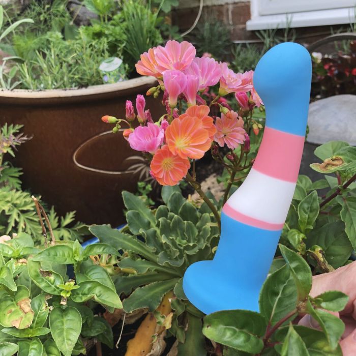 Dildo Blush Avant Multicolor 1