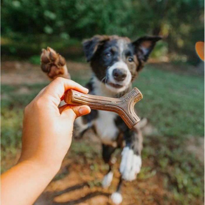 Mordedor de perro Benebone Marrón Animales 2