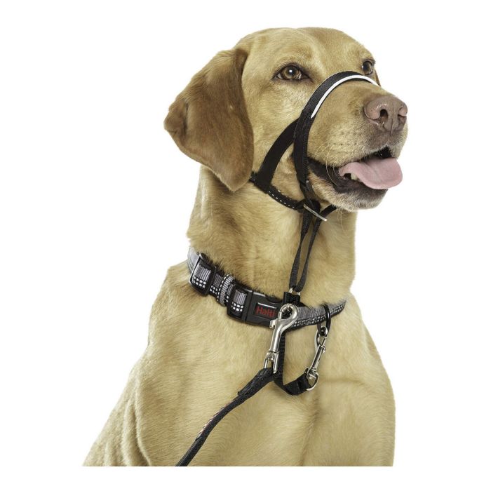 Collar de Adiestramiento para Perros Company of Animals Halti Negro Bozal (40-54 cm) 6